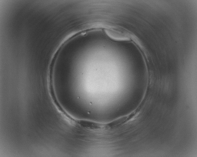 X0000070201048200605261221