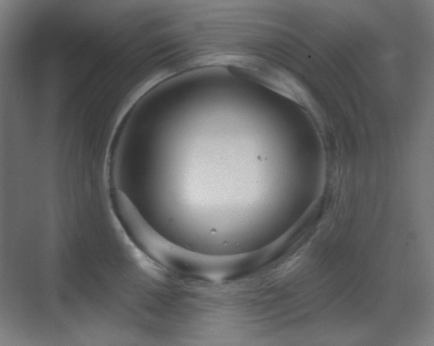 X0000070201050200605261221