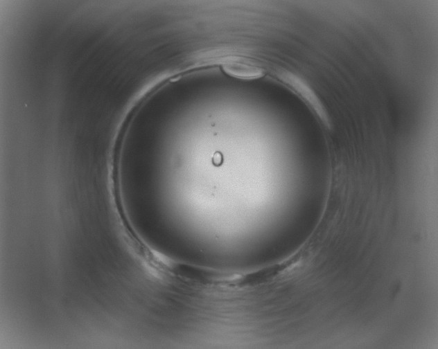 X0000070201051200605261221