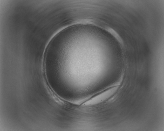 X0000070201052200605261221