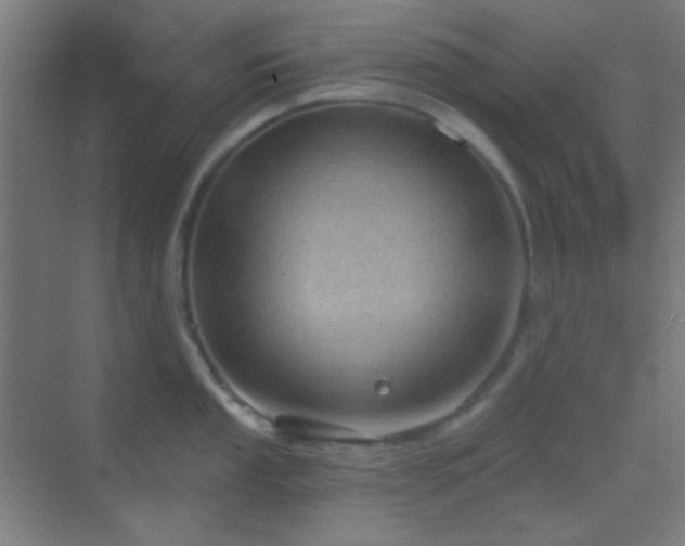X0000070201053200605261221