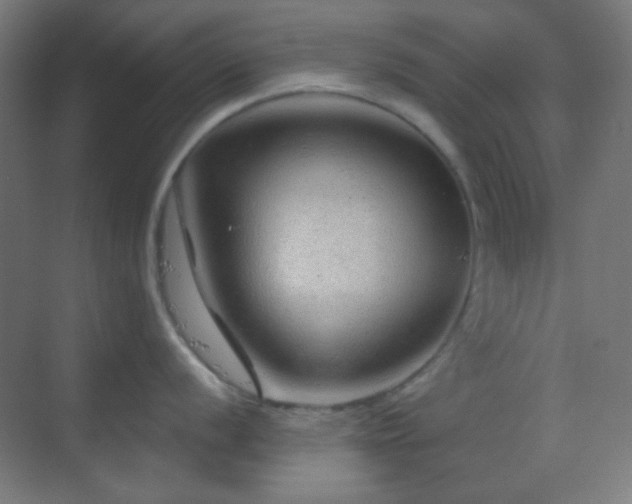 X0000070201056200605261221