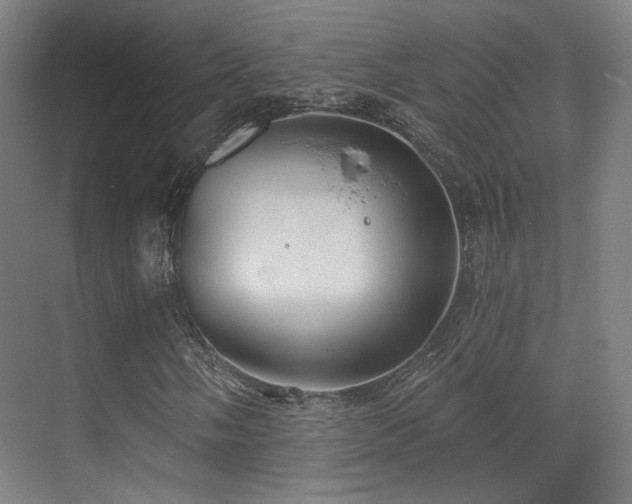 X0000070201058200605261220