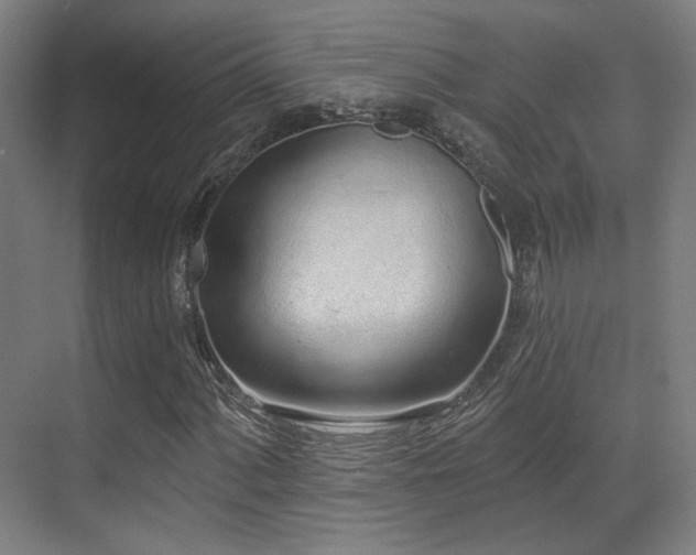 X0000070201060200605261220