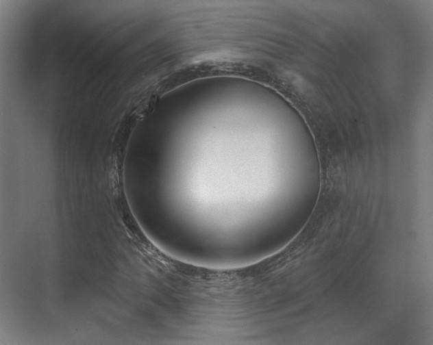X0000070201062200605261220