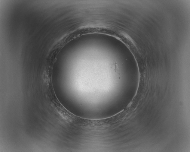 X0000070201064200605261220