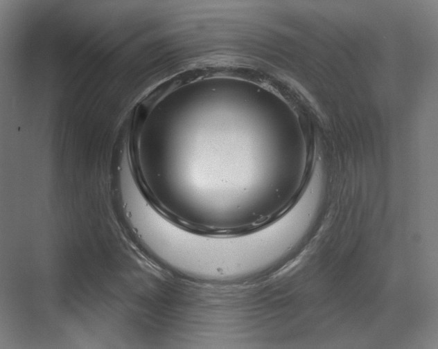 X0000070201065200605261220