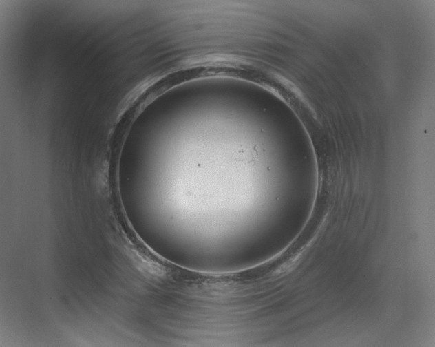 X0000070201066200605261220
