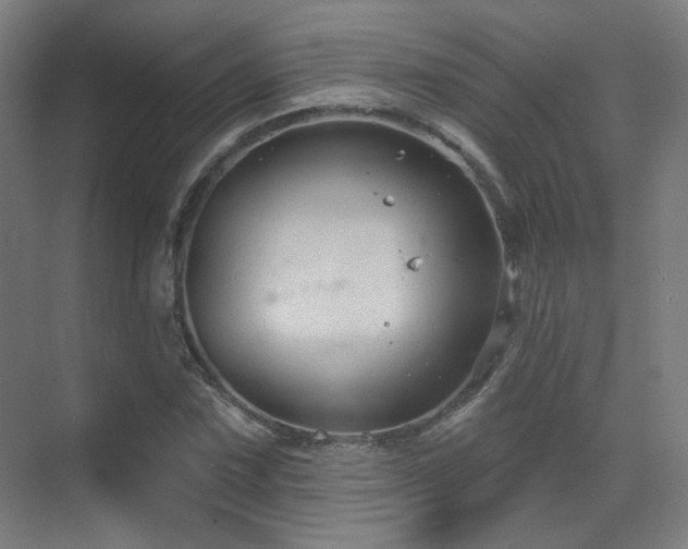 X0000070201067200605261220