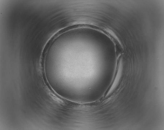 X0000070201068200605261220