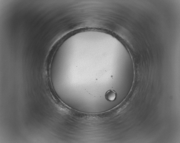 X0000070201070200605261220