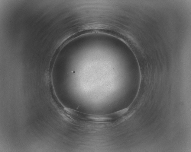 X0000070201073200605261220