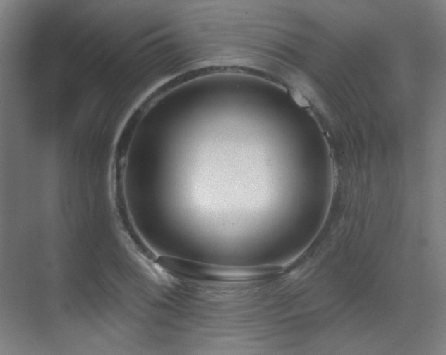 X0000070201076200605261220