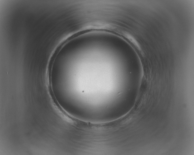 X0000070201080200605261220