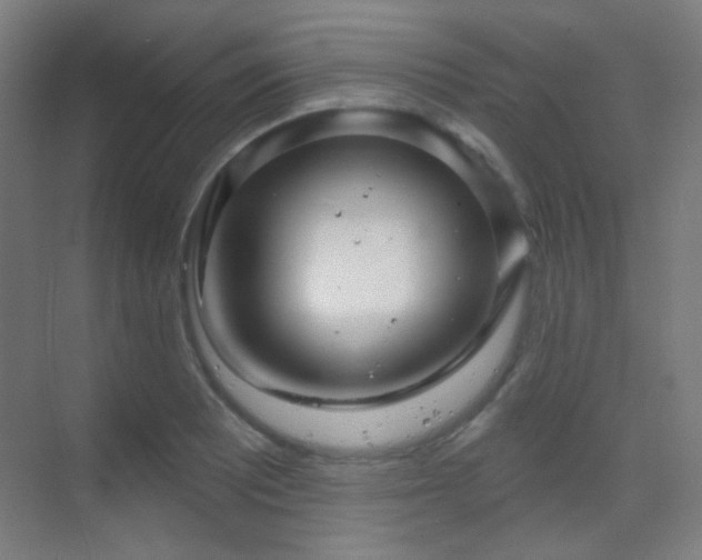 X0000070201081200605261220