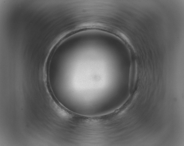 X0000070201082200605261220