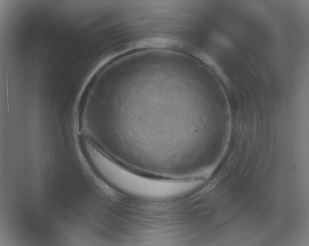 X0000070201083200605261220