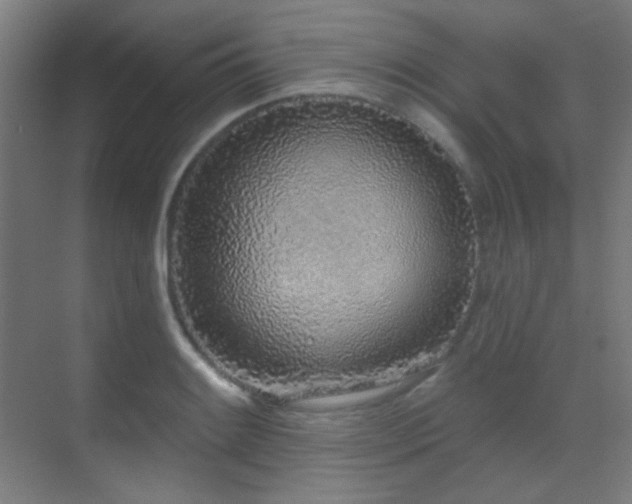 X0000070201084200605261220