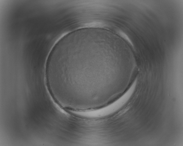 X0000070201087200605261220