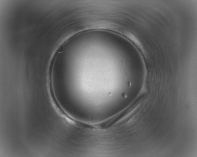 X0000070201088200605261220