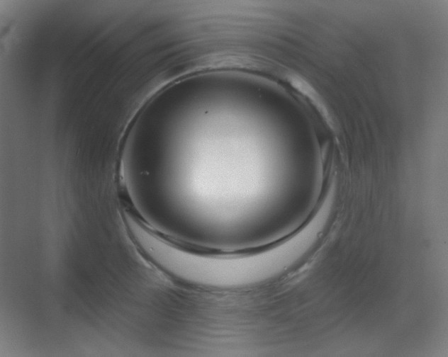 X0000070201089200605261220