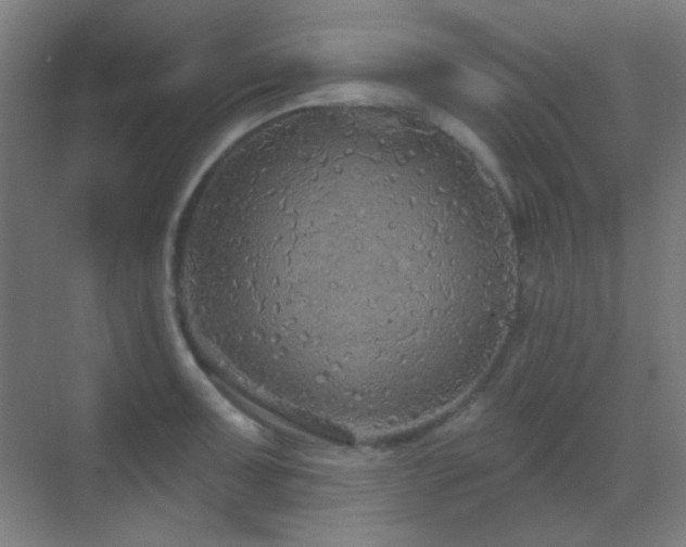 X0000070201091200605261220