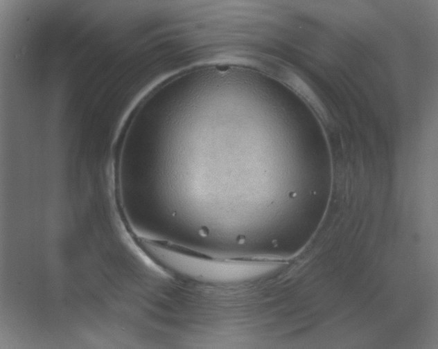 X0000070201092200605261220