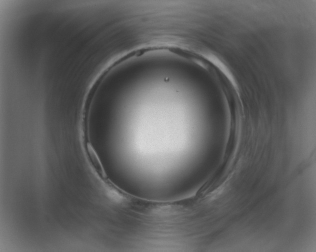 X0000070201093200605261220