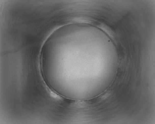 X0000070201094200605261219