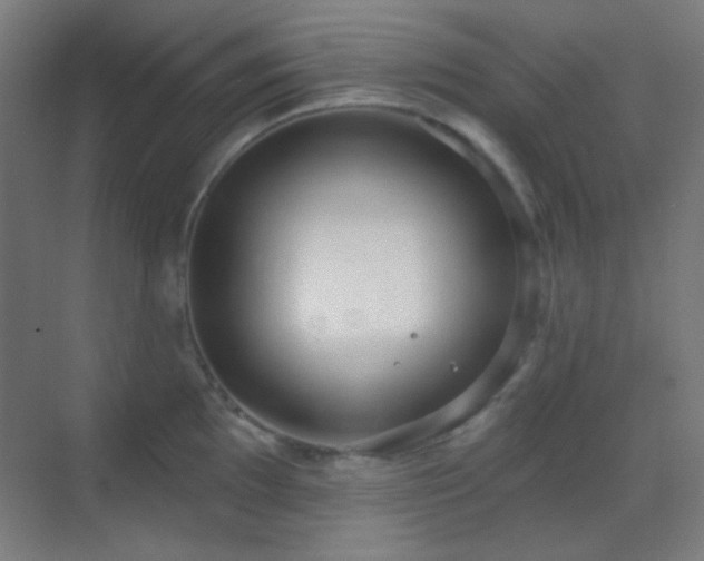 X0000070201097200605261219