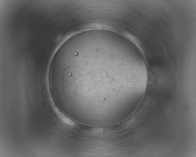 X0000070201098200605261219
