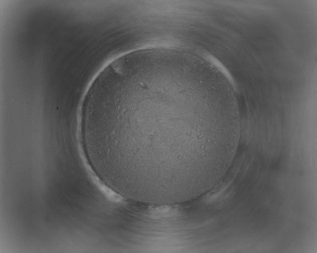 X0000070201099200605261219