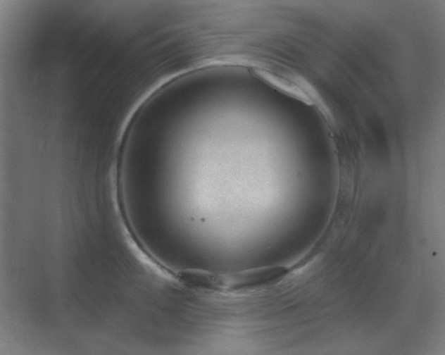 X0000070201100200605261219