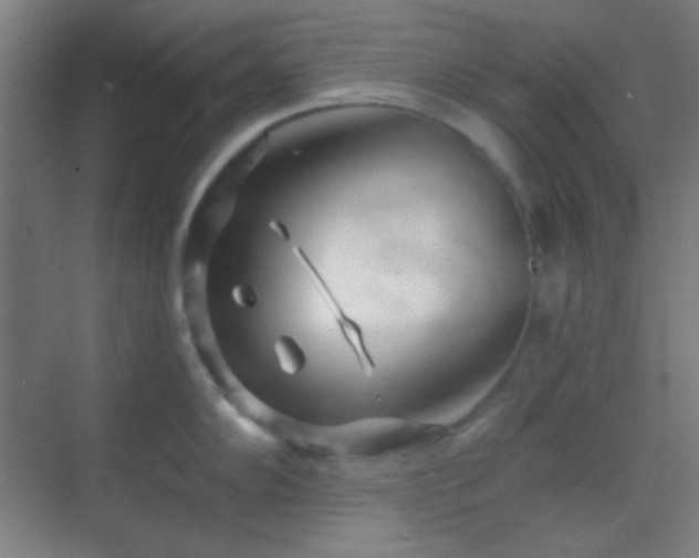 X0000070201102200605261219