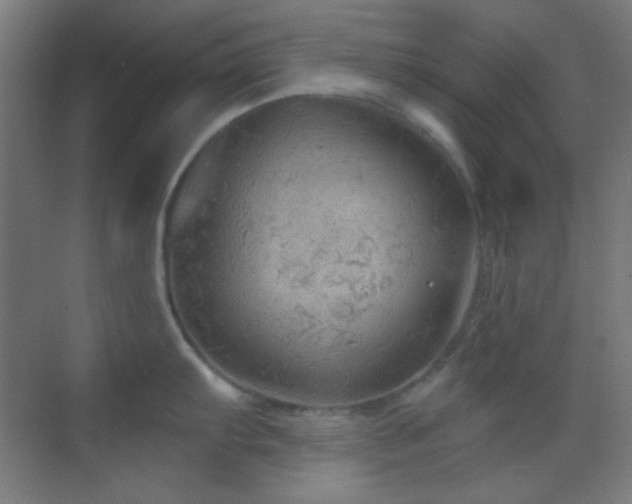 X0000070201103200605261219