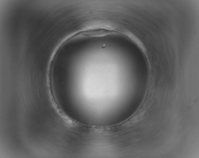 X0000070201104200605261219