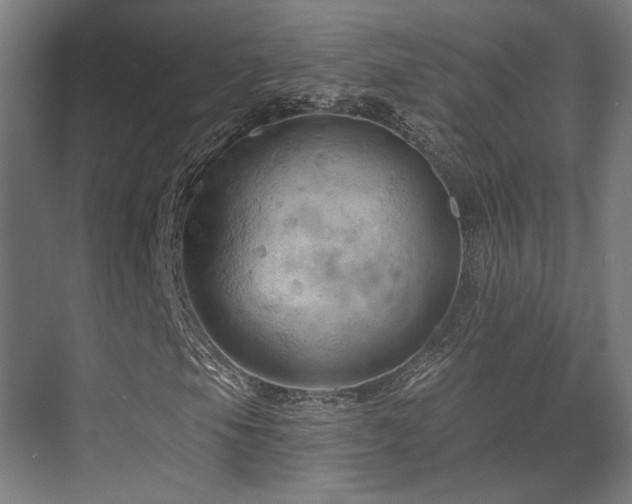 X0000070201105200605261219