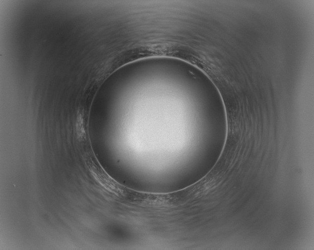 X0000070201106200605261219