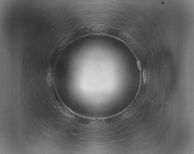 X0000070201107200605261219