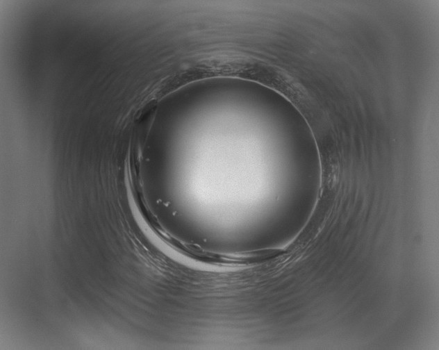 X0000070201108200605261219