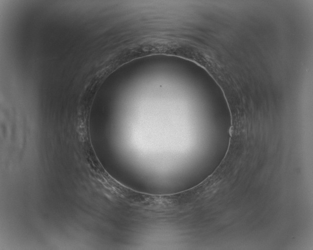 X0000070201109200605261219