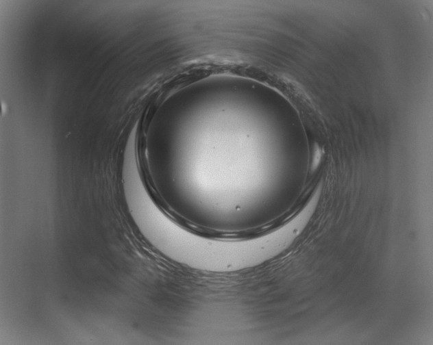 X0000070201110200605261219