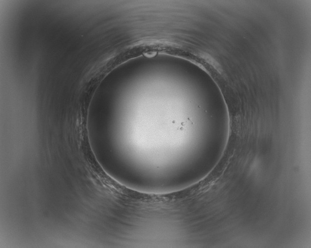 X0000070201111200605261219