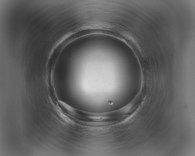 X0000070201114200605261219