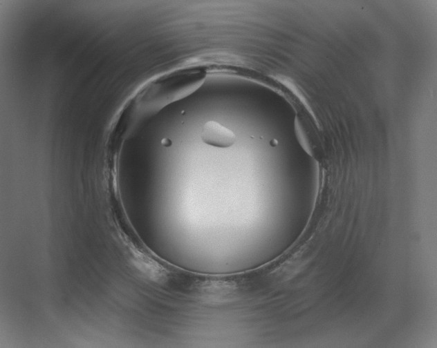 X0000070201115200605261219