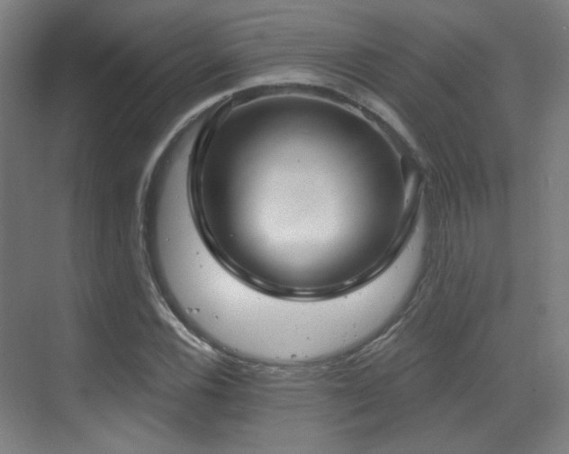 X0000070201116200605261219