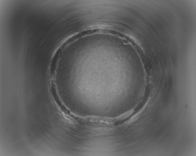X0000070201117200605261219