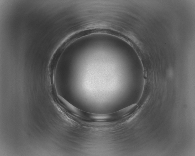 X0000070201118200605261219