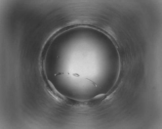 X0000070201119200605261219