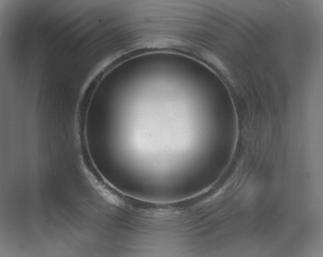 X0000070201122200605261219